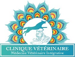 Clinique Vétérinaire du Dr Foucon-Ledogard